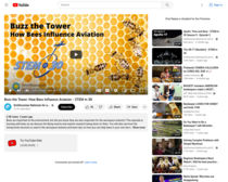 STEM in 30: Buzz the Tower: How Bees Influence Aviation