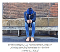 Problem Based Module: Hero to the Homeless