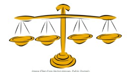 Problem Based Module: Checks and Balances