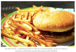 Problem Based Module: What is SAD About Your Food?