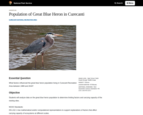 Population of Great Blue Heron in Curecanti
