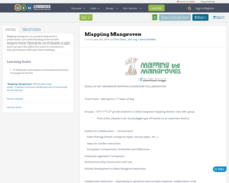 Mapping Mangroves